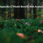 Research summary: Appendix C: Model Benefit-Risk Analysis