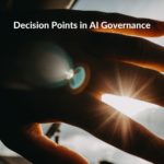 Research summary: Decision Points in AI Governance