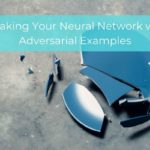 Breaking Your Neural Network with Adversarial Examples