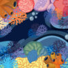 Illustration of a coral reef ecosystem