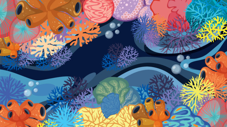 Illustration of a coral reef ecosystem