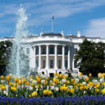 AI Policy Corner: Executive Order: Promoting Advanced Artificial Intelligence Innovation and Securit...