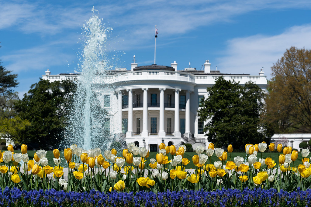 AI Policy Corner: Executive Order: Promoting Advanced Artificial Intelligence Innovation and Security